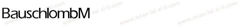 Bauschlomb Medium字体转换